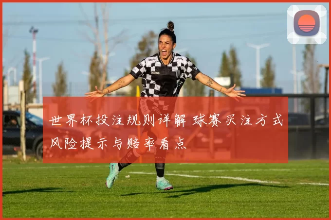 世界杯投注规则详解 球赛买注方式风险提示与赔率看点