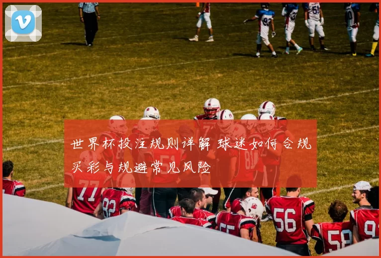 世界杯投注规则详解 球迷如何合规买彩与规避常见风险