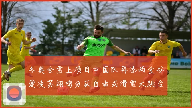 冬奥会雪上项目中国队再添两金谷爱凌苏翊鸣分获自由式滑雪大跳台冠军